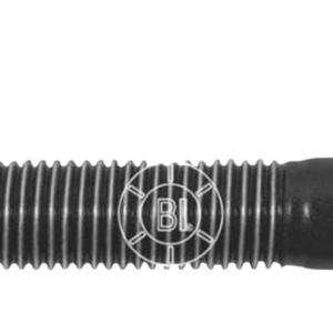 Bi10081​