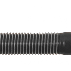 Bi10081​