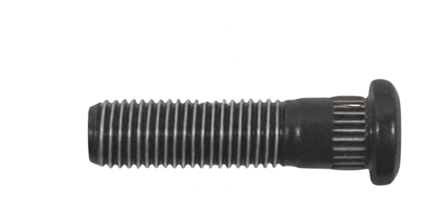 Bi10081​